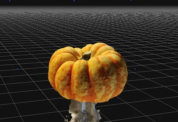 Quả bí ngô thực tế được quét 3D - Image 6