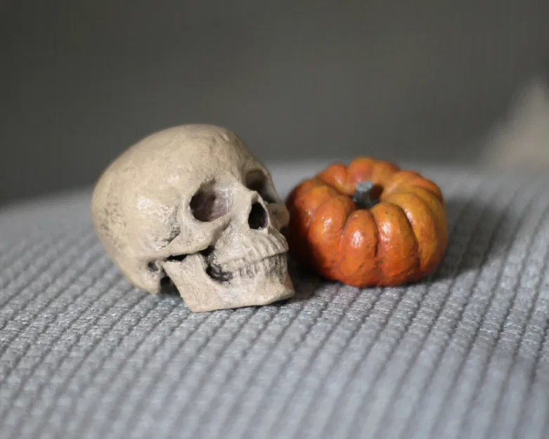 Quả bí ngô thực tế được quét 3D - Image 7