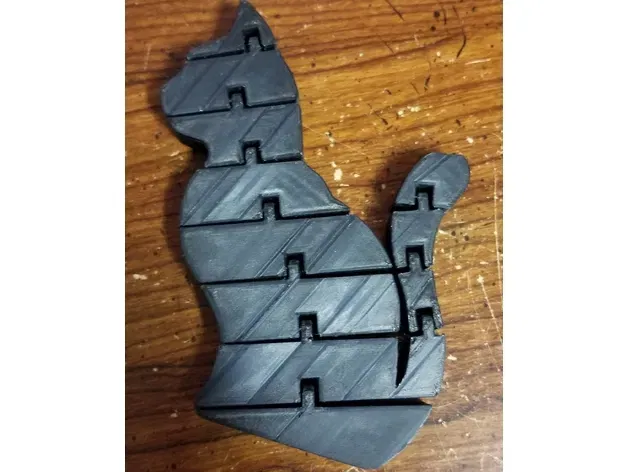 Mèo có khớp nối linh hoạt - Image 1