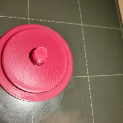 Nắp bình gas LPG cho xe Dacia Logan