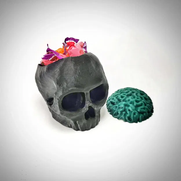 Đầu lâu với não và nơi giấu kẹo - Image 2