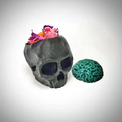 Đầu lâu với não và nơi giấu kẹo