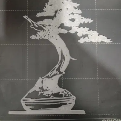 Trang trí bonsai phát sáng trên tường