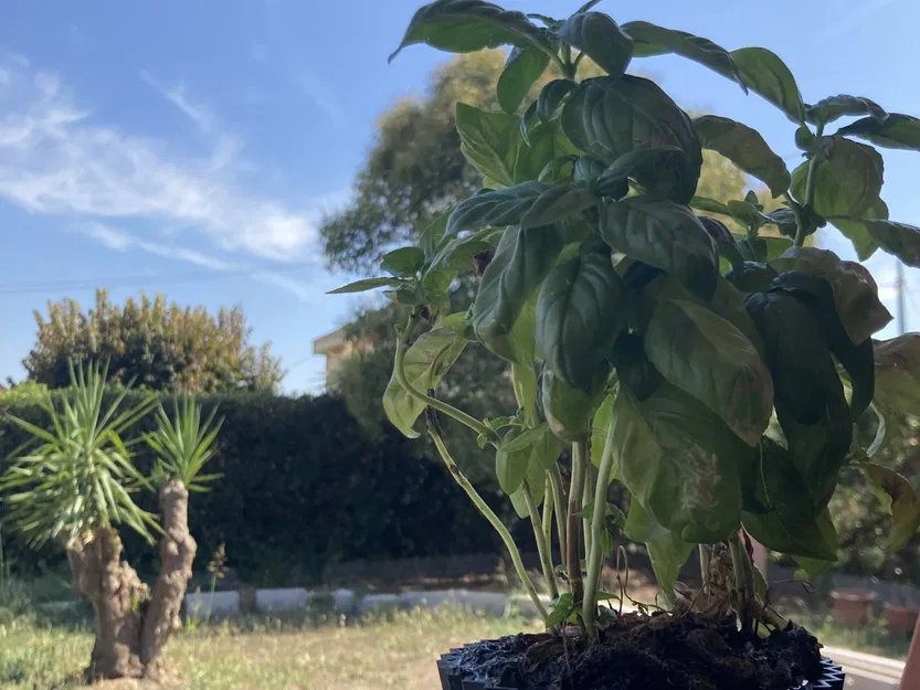 Bình hoa in 3D đơn giản cho cây cảnh - Image 1