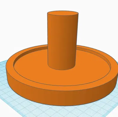 Giá đỡ gốc cây bần cho cây không khí Tillandsia