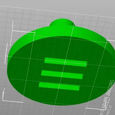 Giá đỡ gốc cây bần cho cây không khí Tillandsia