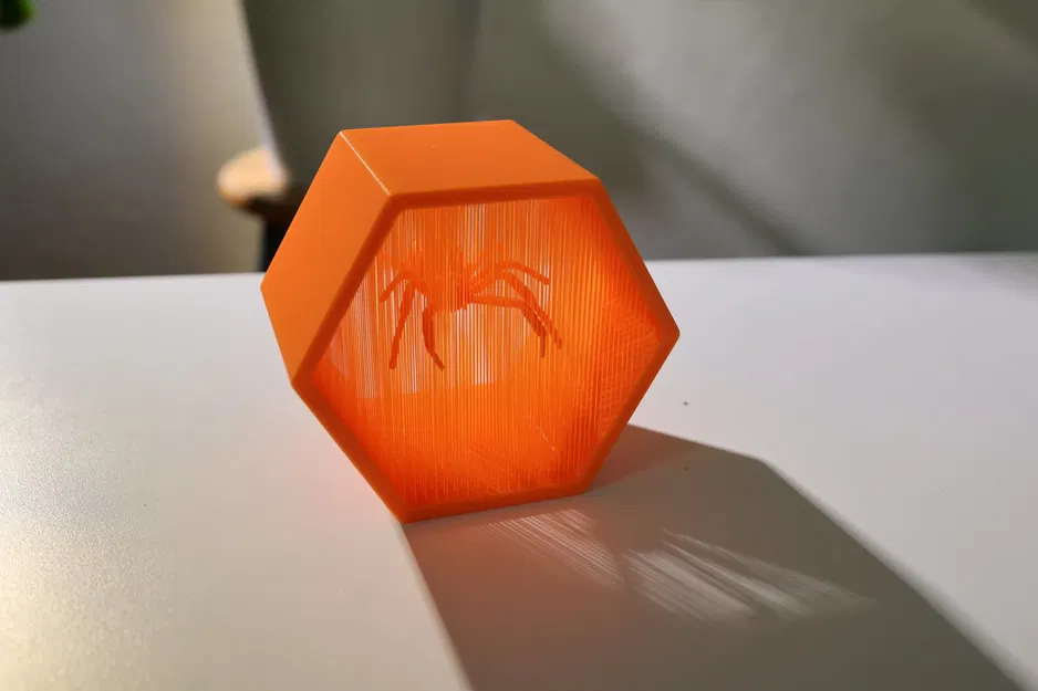 Nhện góa phụ đen treo lơ lửng trong nghệ thuật dây thừng - Image 1