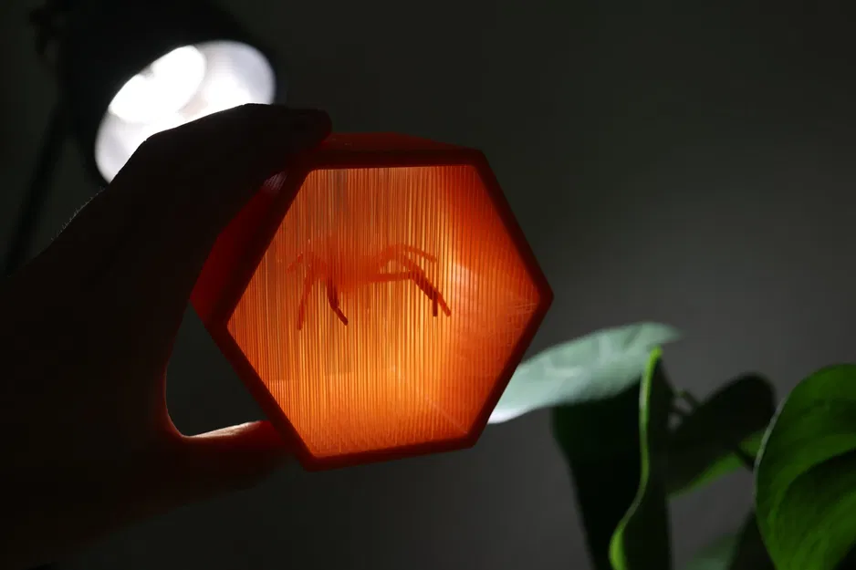 Nhện góa phụ đen treo lơ lửng trong nghệ thuật dây thừng - Image 2