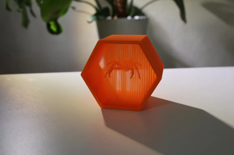 Nhện góa phụ đen treo lơ lửng trong nghệ thuật dây thừng - Image 3