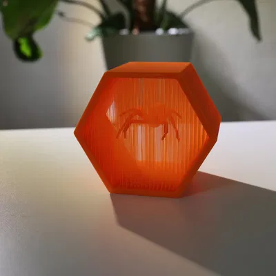 Nhện góa phụ đen treo lơ lửng trong nghệ thuật dây thừng