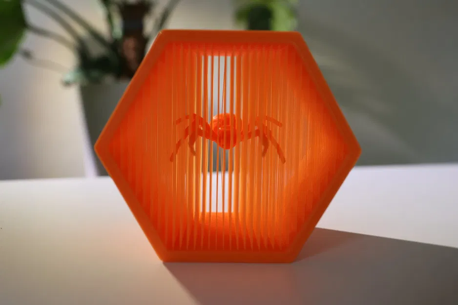 Nhện góa phụ đen treo lơ lửng trong nghệ thuật dây thừng - Image 4