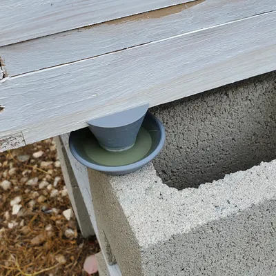 Bẫy kiến cho tổ ong Langstroth với chân đế tích hợp