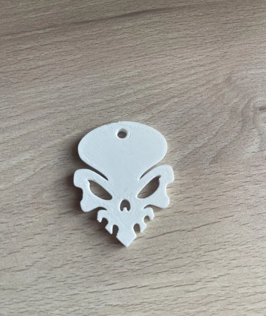 Mô hình đầu lâu "xịn" - Image 2