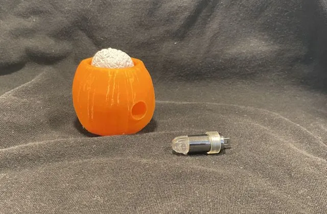 Đầu lâu bí ngô với bộ não lắc lư - Image 3