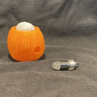 Đầu lâu bí ngô với bộ não lắc lư