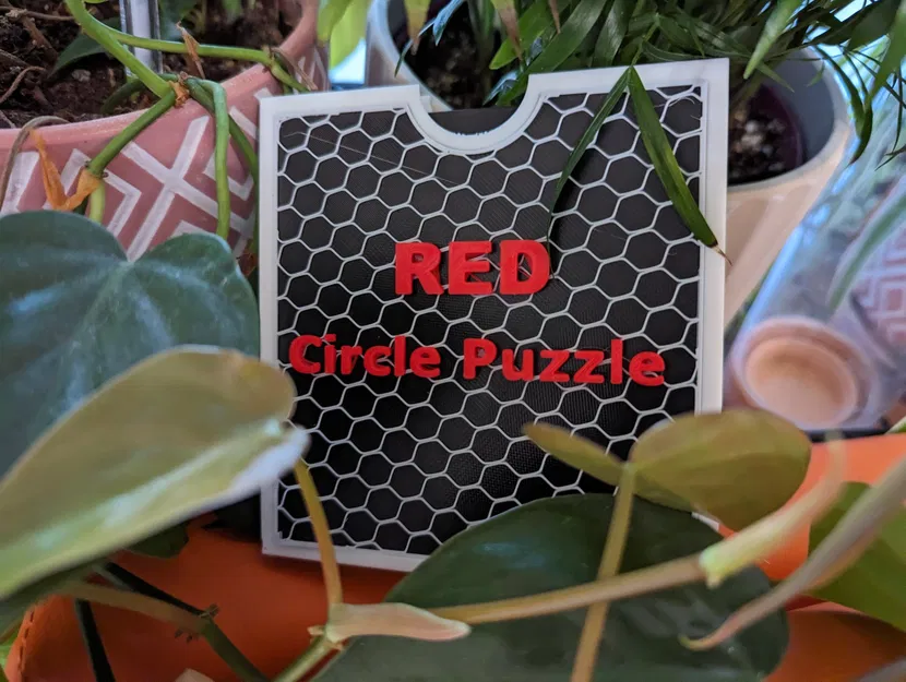 Câu đố hình tròn đỏ với hộp tùy chỉnh - Image 3