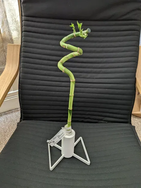 Giá đỡ cây trúc may mắn Ikea - Image 2