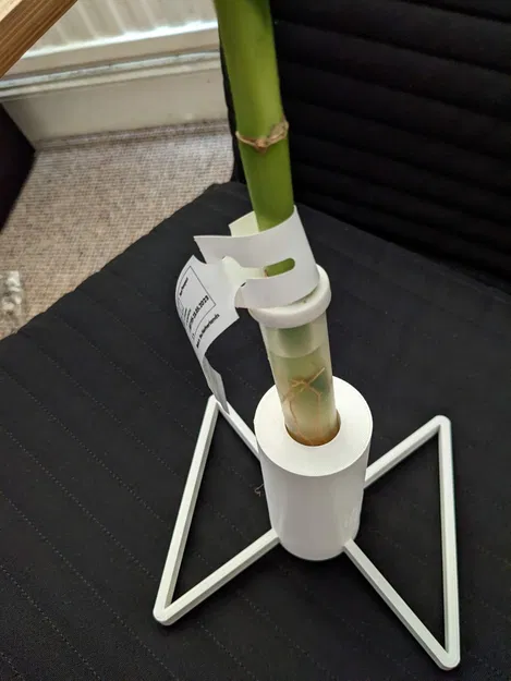 Giá đỡ cây trúc may mắn Ikea - Image 4