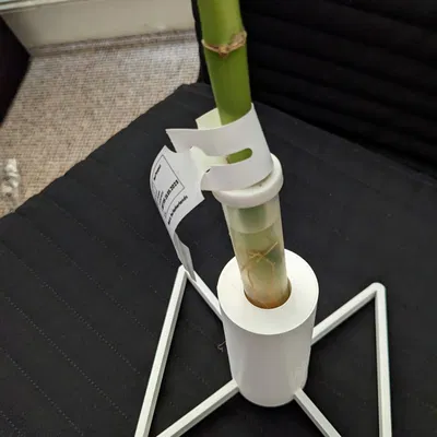 Giá đỡ cây trúc may mắn Ikea