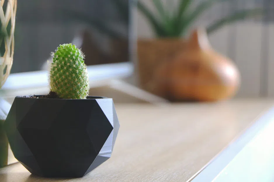 Chậu cây in 3D từ PLA với thiết kế đẹp mắt - Image 2