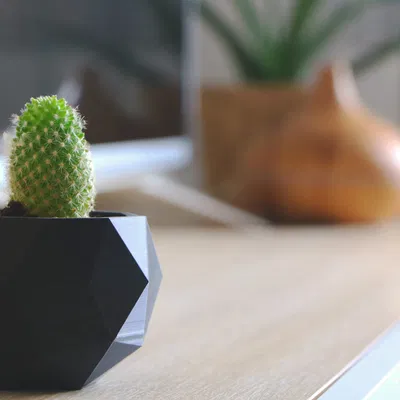 Chậu cây in 3D từ PLA với thiết kế đẹp mắt