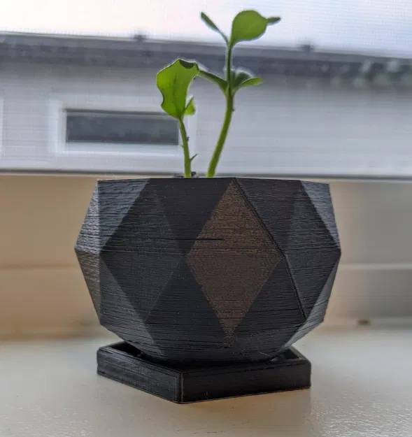 Khay để chậu cây của Marc Izquierdo - Image 1