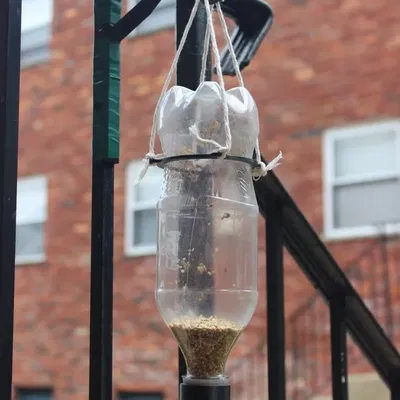 Máy cho chim ăn từ chai PET tiêu chuẩn PCO 1881