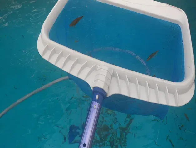 Thay thế tay cầm cho bộ cào lá Porpoise chất lượng cao - Image 3