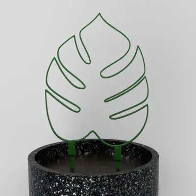 Giá đỡ lá Monstera cho cây trồng