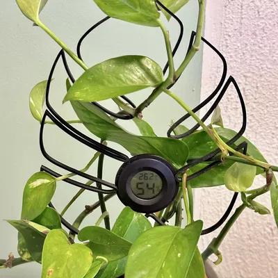 Giá đỡ lá cây leo với giá đỡ ẩm kế hình tròn