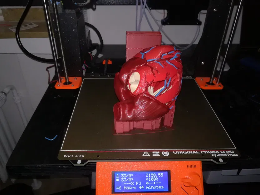 Trái tim người với cấu trúc giải phẫu chính xác - Image 7