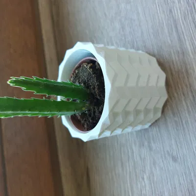 Bình hoa origami hình học không có nắp dành cho cây xanh