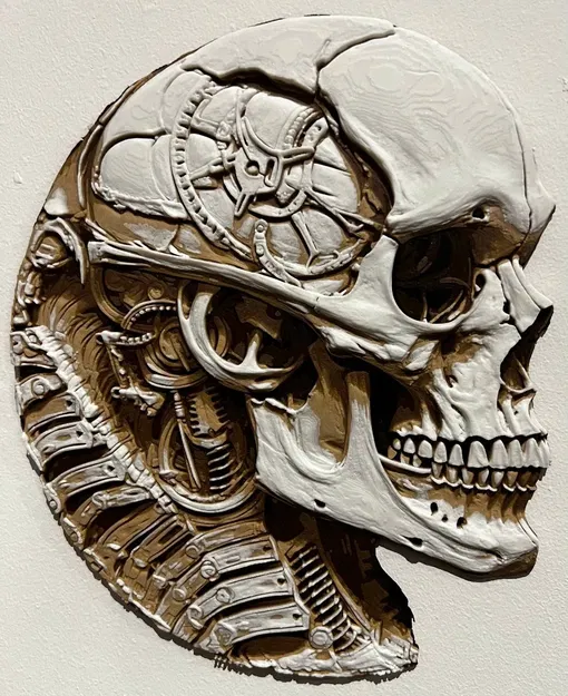 **Hộp sọ sinh học cơ học** - Image 1