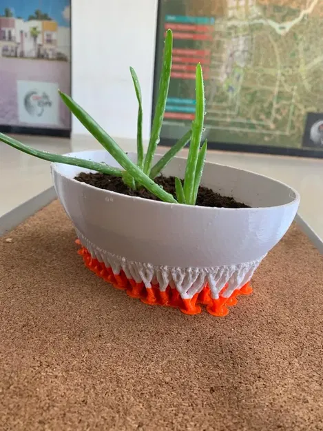 Chậu hoa cho cây giống nha đam - Image 3