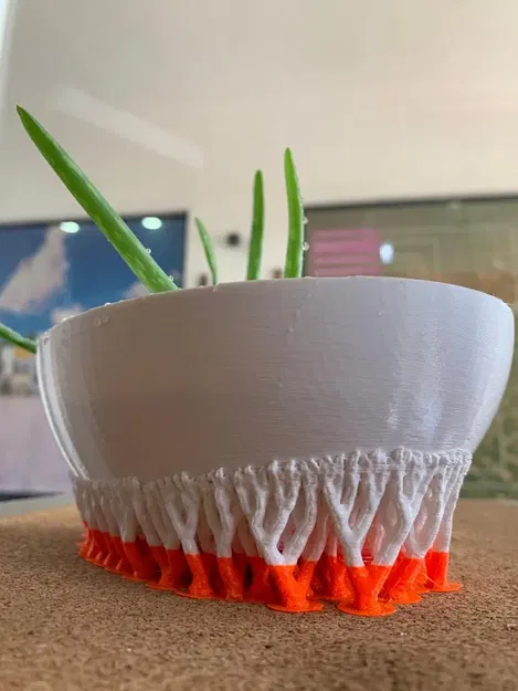 Chậu hoa cho cây giống nha đam - Image 4