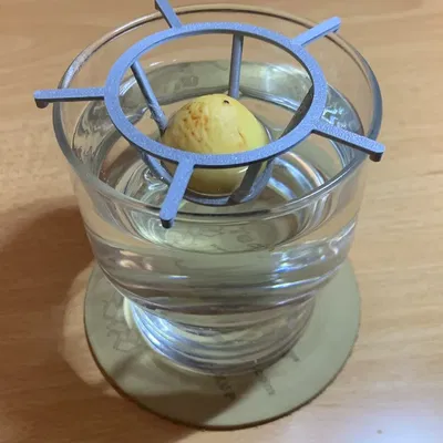 Giá đỡ hạt bơ với chân hỗ trợ ổn định