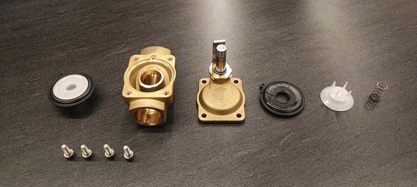 Bộ phận thay thế màng cho van từ Norgrein 2/2W - Image 2