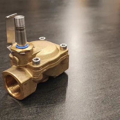 Bộ phận thay thế màng cho van từ Norgrein 2/2W