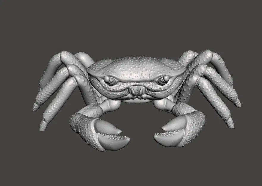 Mô hình cua 3D không có dao hoặc đế - Image 1