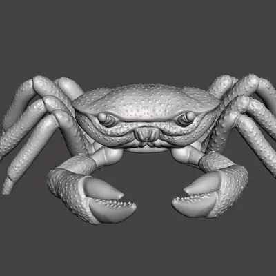 Mô hình cua 3D không có dao hoặc đế