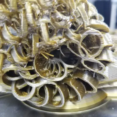 Thử nghiệm in nhẫn rồng Shakaworld3D trước khi in hoàn chỉnh