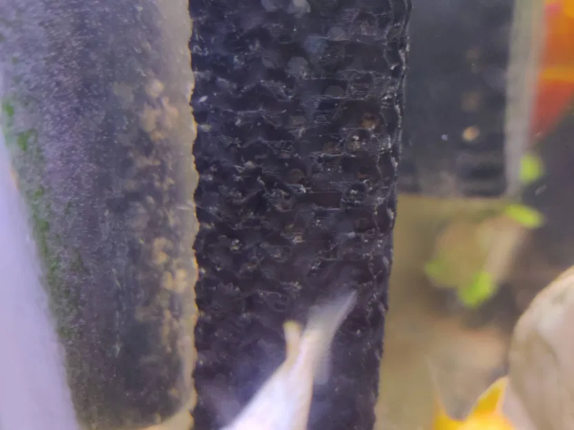 Bộ bảo vệ ống hút lọc AquaClear chống cá con bị hút - Image 1