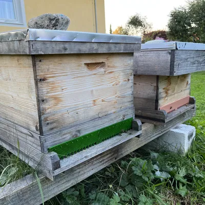 Bảng bảo vệ chống chuột cho tổ ong Einheitsmaß 388x50x4mm