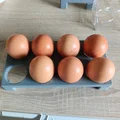 Khay đựng trứng tùy chỉnh cho ngăn cửa tủ lạnh - Thumbnail 3