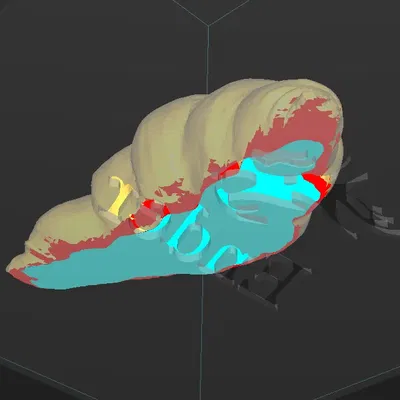 Bánh sừng bò với đáy cắt cho in FDM