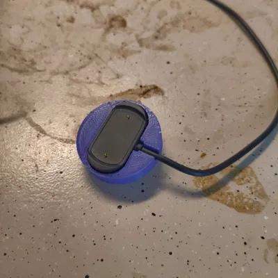 Bộ chuyển đổi Amazfit cho cáp bên cạnh