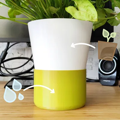 Chậu cây tự tưới hiện đại cho cây cảnh trong nhà