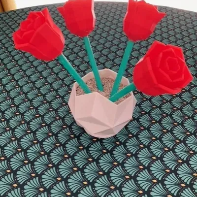 Chậu hoa với những bông hồng rực rỡ