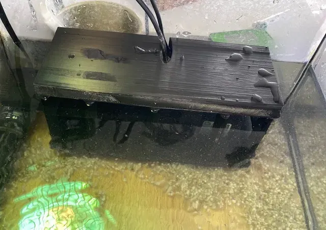 Bảo vệ bơm cho bể cá khỏi sự di chuyển của rùa - Image 1