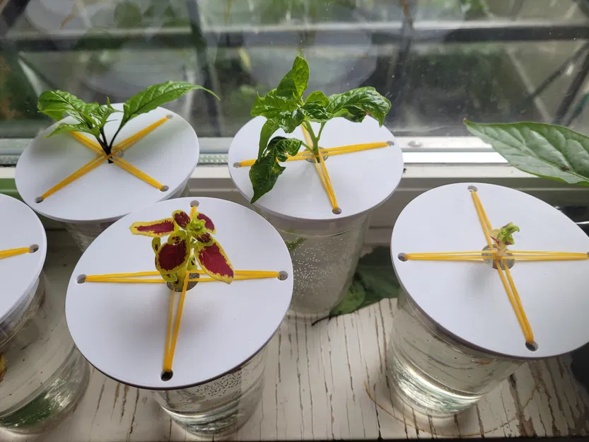 Nắp giữ cắt và nảy mầm cho hệ thống DWC mini - Image 1